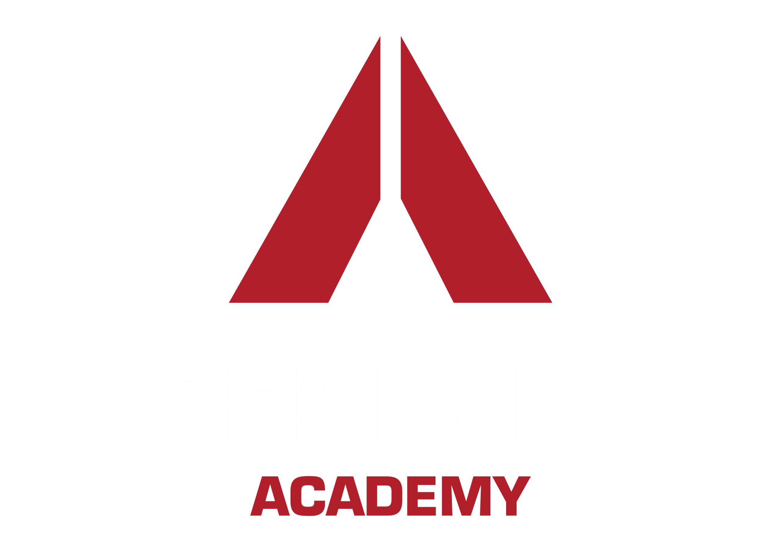 Phoenix Academy